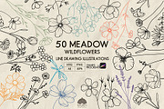 Meadow wildflowers + Procreate, a Decorative Illustration by Skliarova (Thumbnail 1 of 3)
