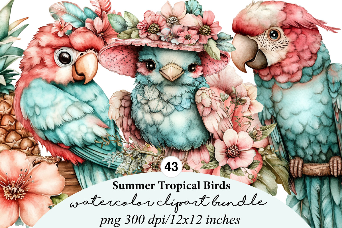summer tropical birds clipart, an Illustration by GatewayDesign (Photo 1 of 9)