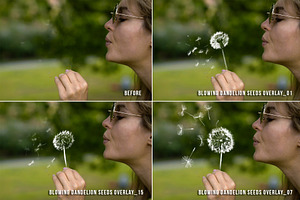 15 Blowing Dandelion Overlays