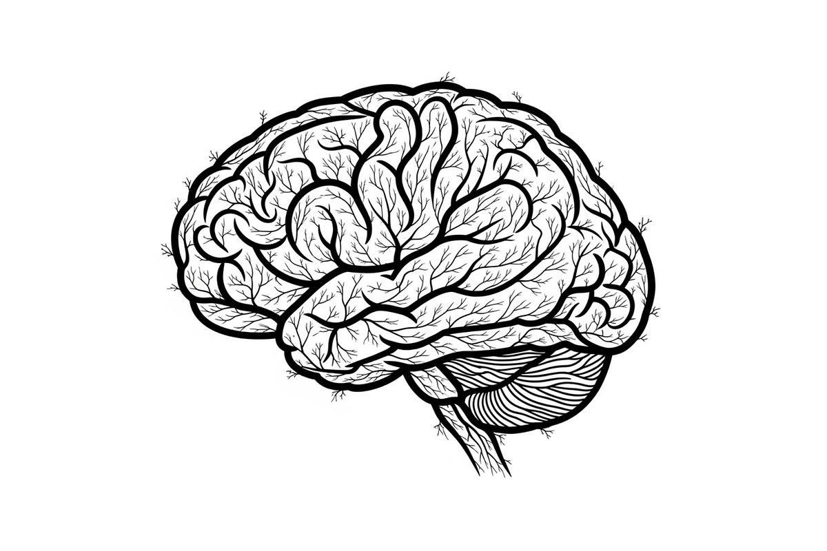 Brain Tree Knowledge Design Bundle, an Illustration by Gaye Art (Photo 7 of 31)