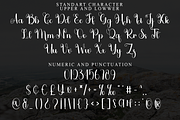 Sabrina, a Handwritten Font by FreshTypeINK (Thumbnail 8 of 8)