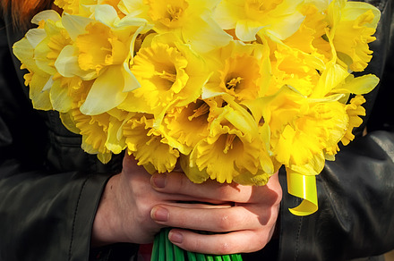 figure girl with bouquet of daffodil, a Person Photo by MLunov MLunov