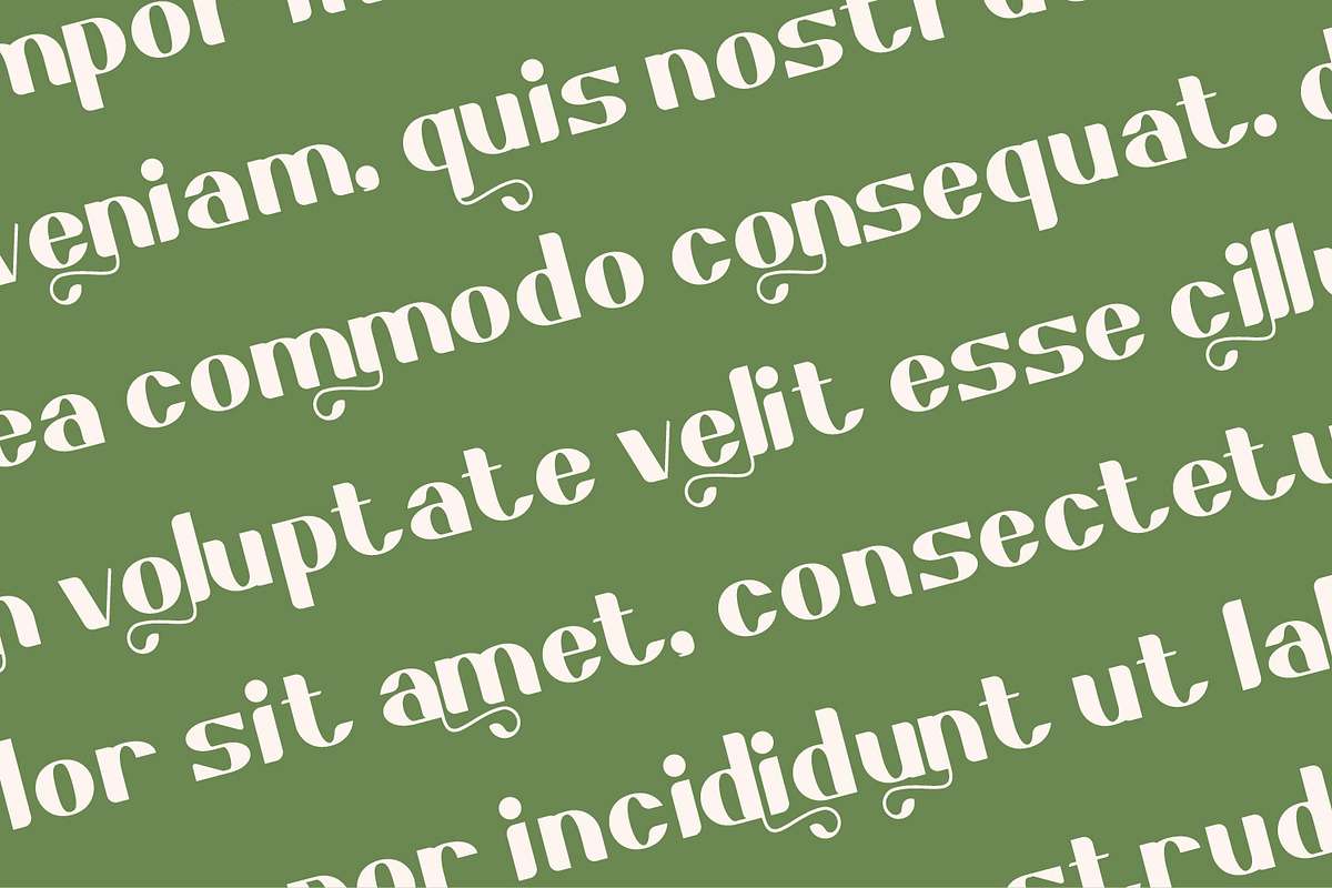 Greenic - Modern Serif Display Font, a Serif Font by Rishsketch (Photo 9 of 15)
