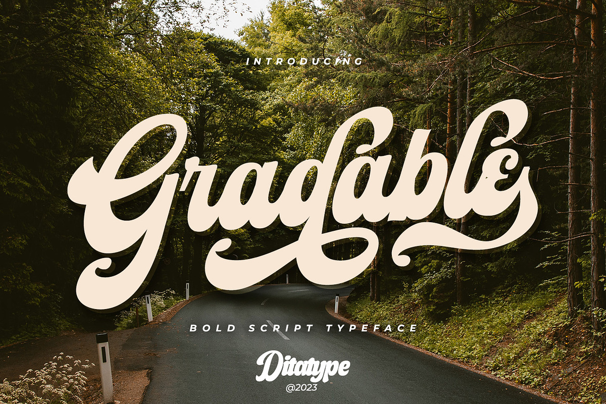 Gradable, a Script Font by Ditatype (Photo 1 of 11)