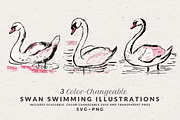 Hand Drawn Swan Illustrations, an Animal Illustration by The October Creative (Thumbnail 1 of 4)