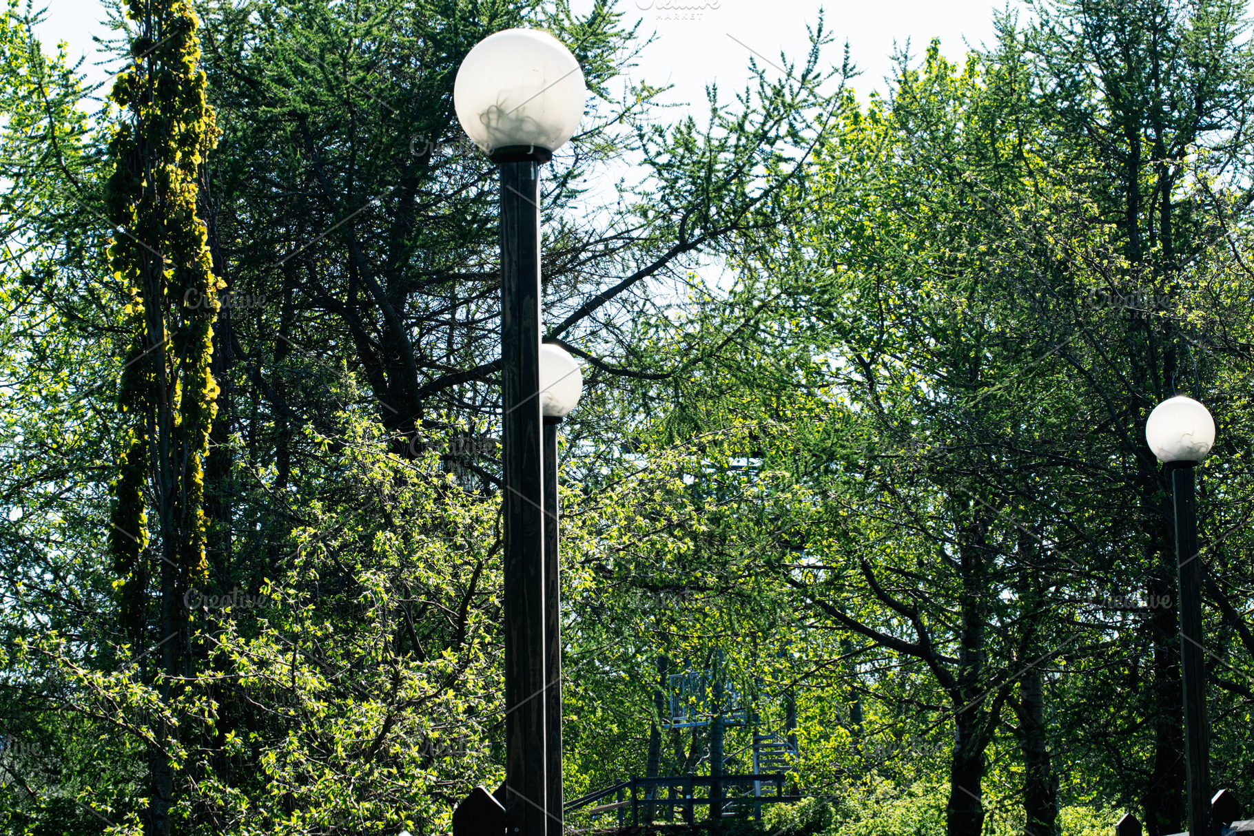 Sunny day in a green park with trees and vintage lampposts, a Photo by AS photostudio