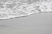 Beach Stock Photo Collection, a Nature Photo by Dee Andreoli Photography (Thumbnail 5 of 7)