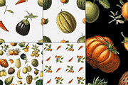 10 Retro Seamless Pattern Collection, a Pattern Graphic by Illusiongraphic (Thumbnail 3 of 7)