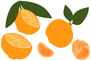 Vector Tangerine Illustrations, a Food Illustration by UoaHH (Thumbnail 2 of 3)