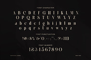 Malika Elegant Ligature Serif Font, a Font by Graphicxell (Thumbnail 6 of 7)