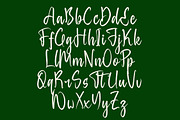 Baghera Thenetta Modern Handwritten, a Script Font by stylishtype.co (Thumbnail 13 of 20)