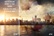 Dreamy Faded Fall Backgrounds, a Texture Graphic by Skritch Studio (Thumbnail 3 of 4)
