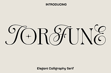 Torfune - Elegant Calligraphy Serif