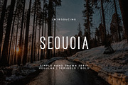 Sequoia Font + Extras, a Serif Font by Mikhail Fukurou (Thumbnail 1 of 6)
