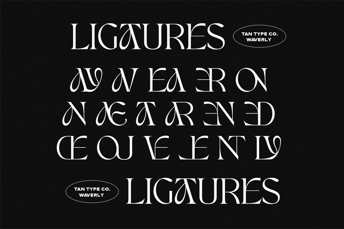 TAN - WAVERLY, a Serif Font by TanType (Photo 13 of 22)