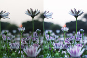 Bright Photoshop Actions, an Action Add-On by Bato (Thumbnail 5 of 16)