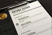 Pro Resume, a Resume Template by sz81 (Thumbnail 3 of 4)