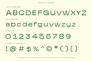 Salemo Vintage Minimalism Font