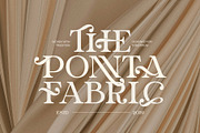 The Dinora Elegant Serif Font, a Serif Font by Graphicxell (Thumbnail 3 of 8)