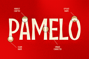 Pamelo - Bold Sans Serif Font, a Sans Serif Font by Pekotype (Thumbnail 10 of 15)