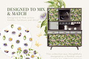 Passion Fruit Watercolor Clip Art, a Food Illustration by Elena Malgina Clipart (Thumbnail 13 of 16)