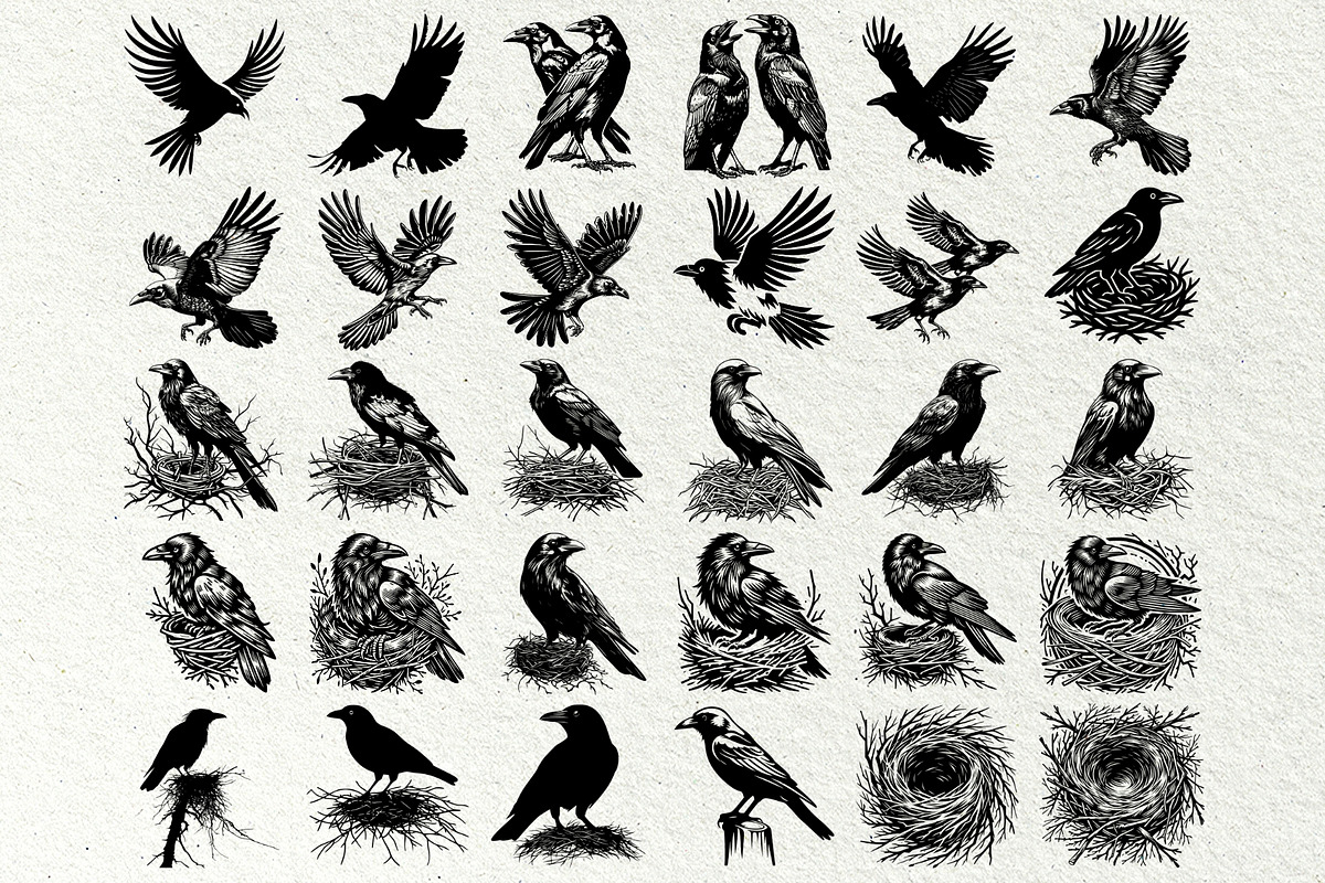 Crow SVG File. Raven Clipart PNG, an Animal Illustration by DENIDigitalArtSudio (Photo 5 of 8)