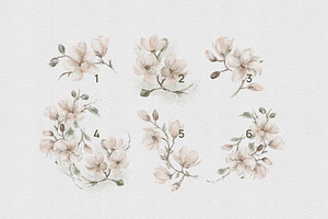 Magnolia Watercolor Collection