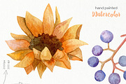 Watercolor Autumn Clipart. Pumpkin., a Decorative Illustration by OllyKo Art (Thumbnail 9 of 9)
