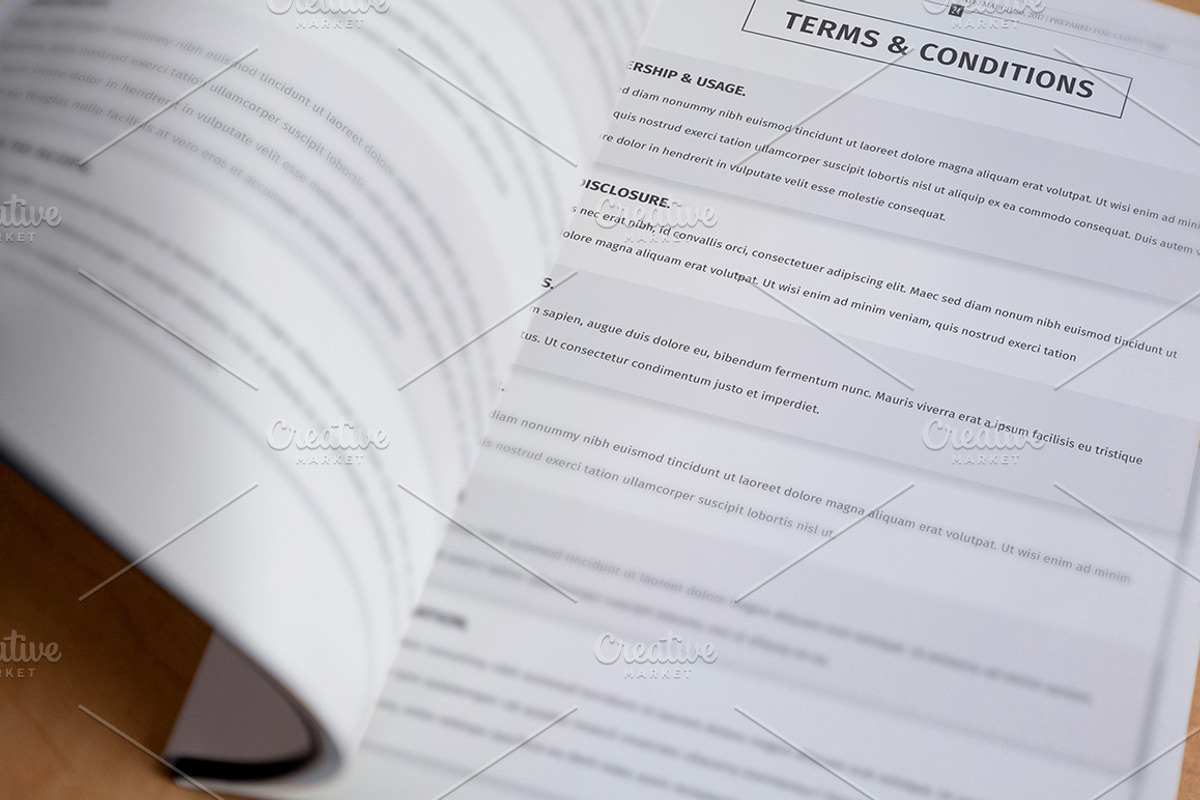 60+ Pages Bundle Proposal Pack -30%, a Stationery Template by Mastergfx (Photo 19 of 56)