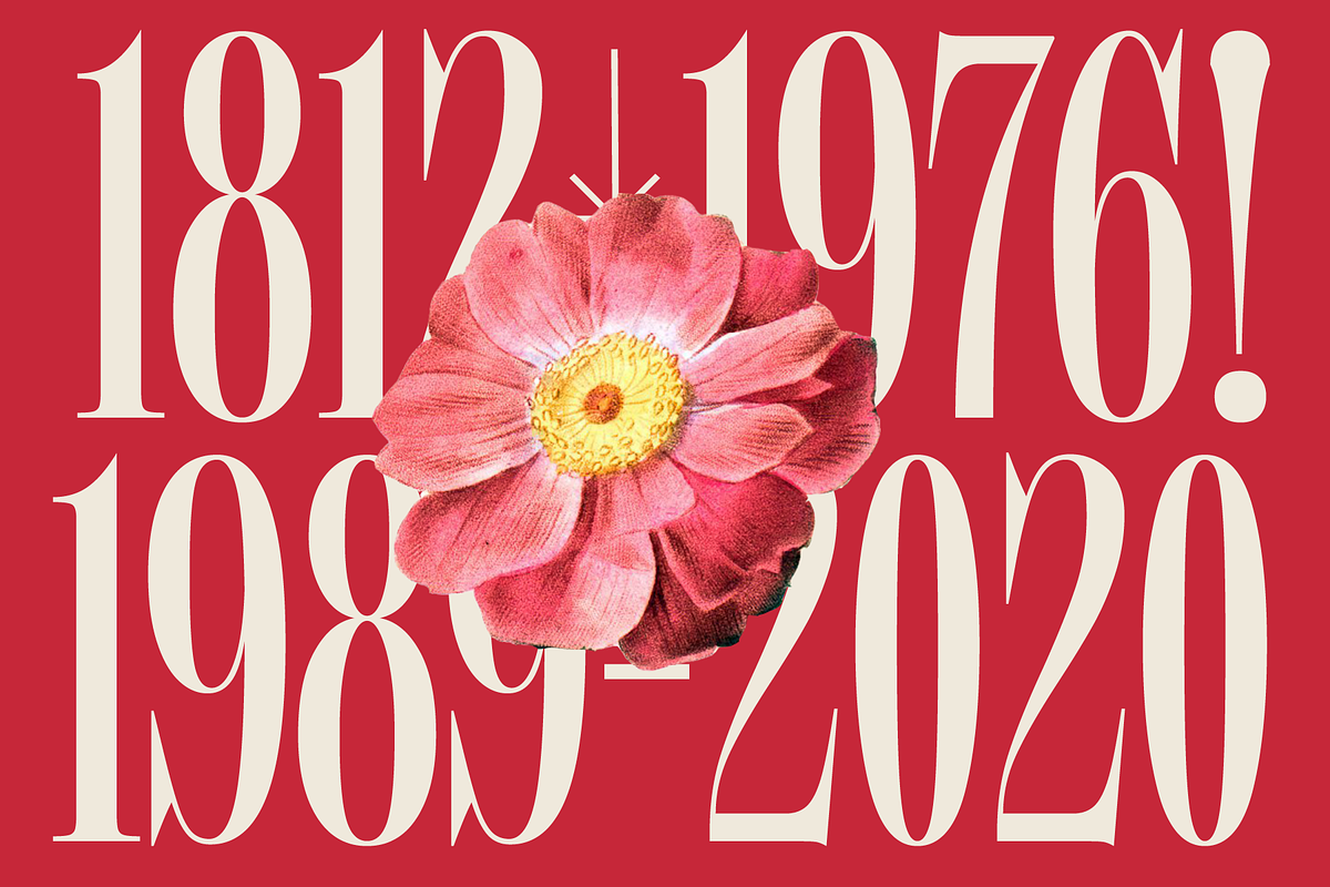 MTC Tailrose - A Quirk Serif Font, a Serif Font by Martype (Photo 4 of 12)