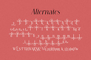 Modern Chic Refined – Elegant Serif, a Serif Font by MaxArt Foundry (Thumbnail 19 of 20)