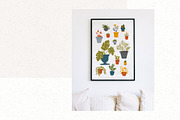 Gardening clipart, stickers. Plants, an Illustration by ann_etc (Thumbnail 8 of 11)