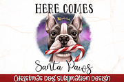 Christmas Dog Sublimation Bundle, an Animal Illustration by RossiGalleria (Thumbnail 4 of 9)