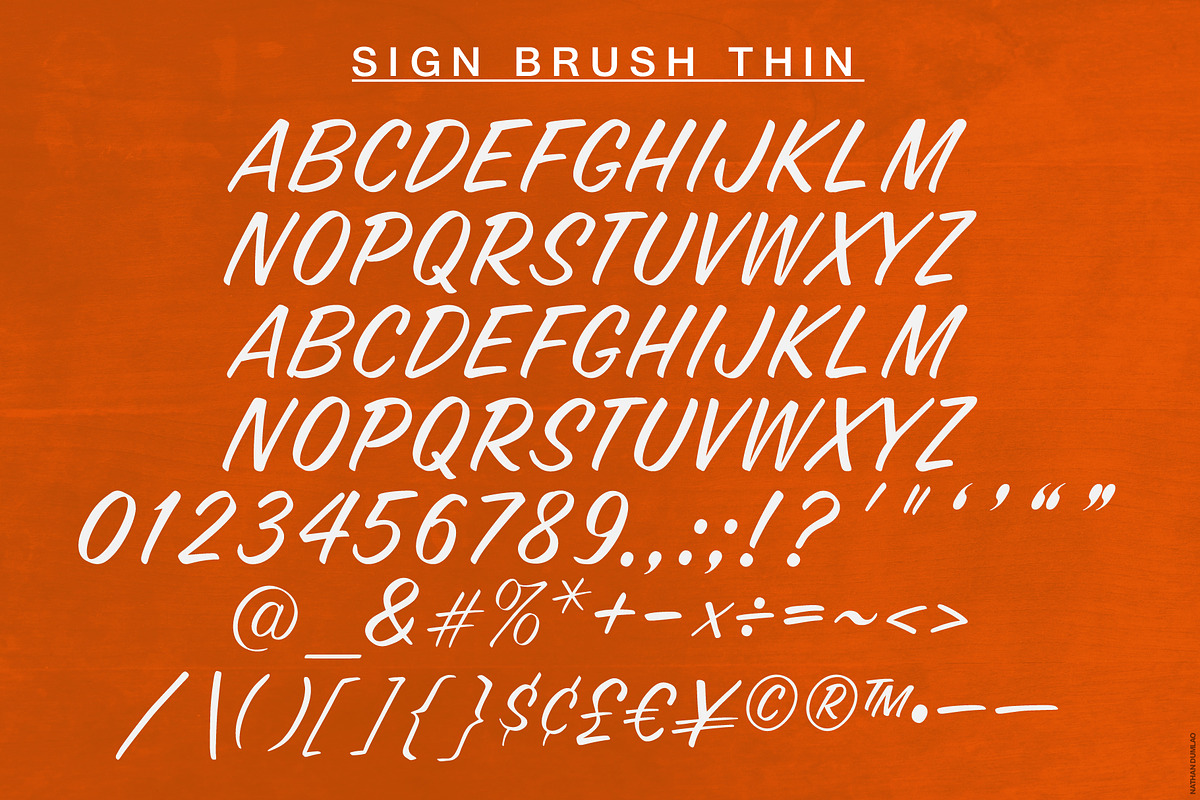 Sign Brush Thin | Display Type, a Script Font by StudioWorks (Photo 2 of 8)