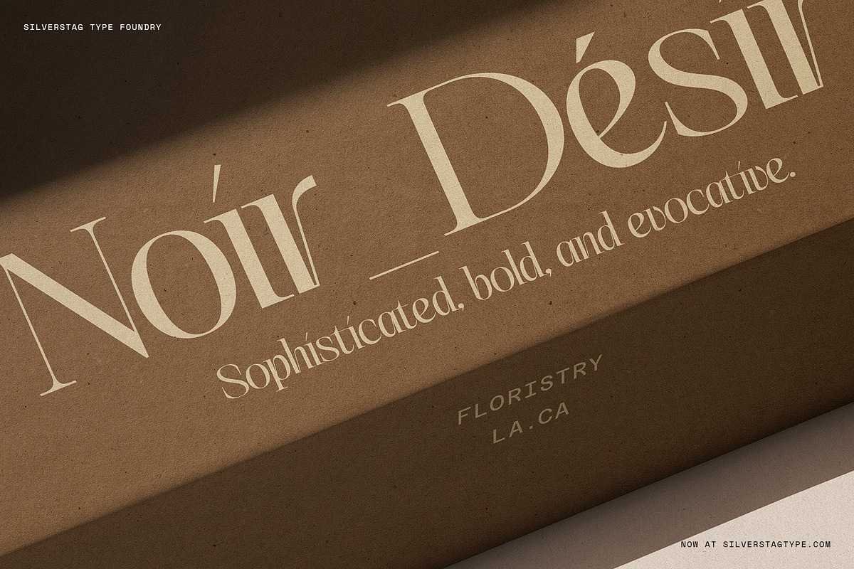 The Elfkin Editorial - Modern Serif, a Serif Font by SilverStag Type Foundry (Photo 9 of 20)