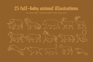 Animal Linear Logo Illustrations