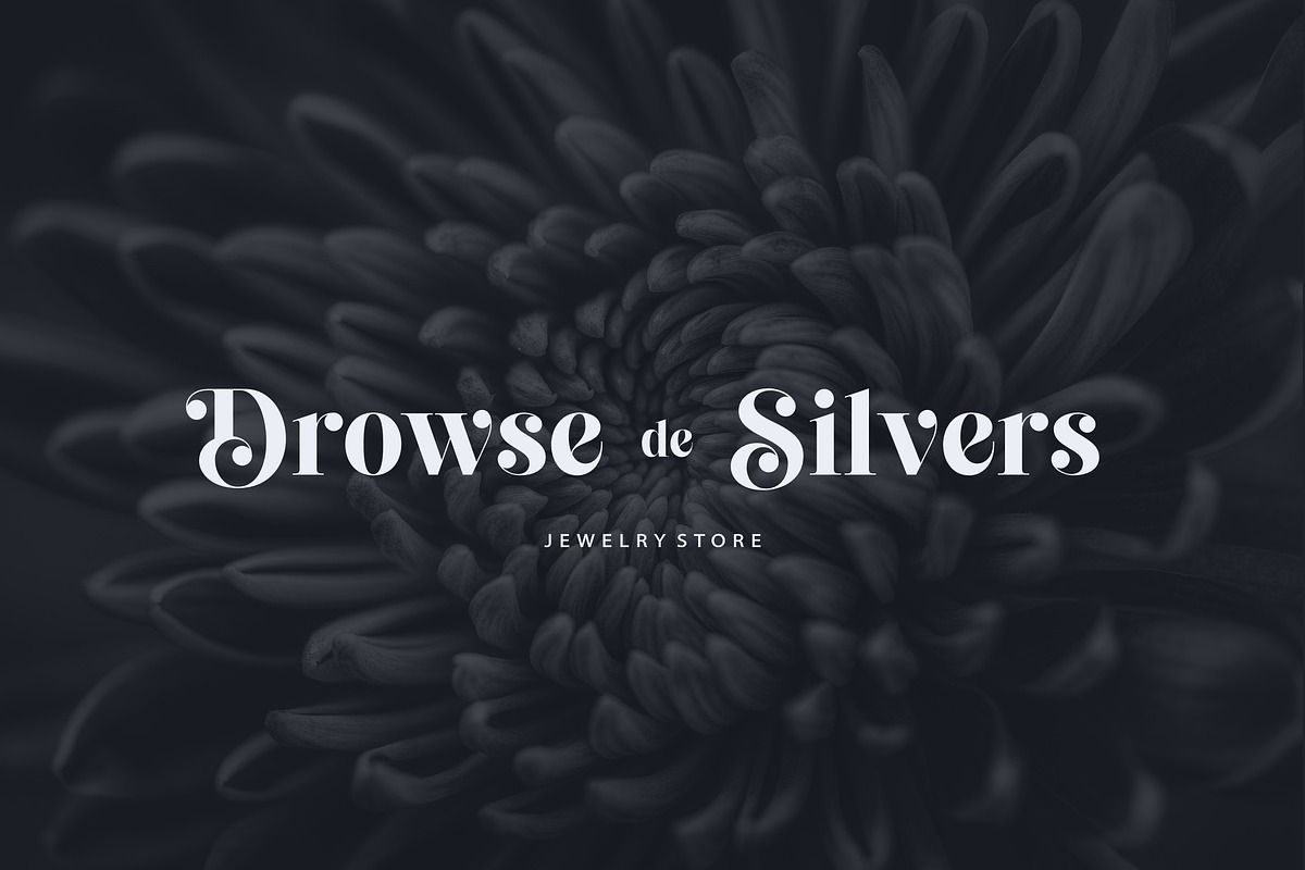 Cheva Display Serif Font, a Sans Serif Font by Letteralle Studios (Photo 4 of 9)