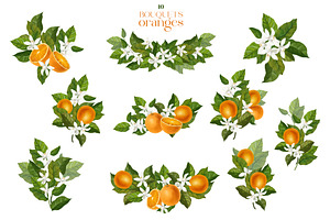 Sweet Oranges, Citrus Watercolor Set