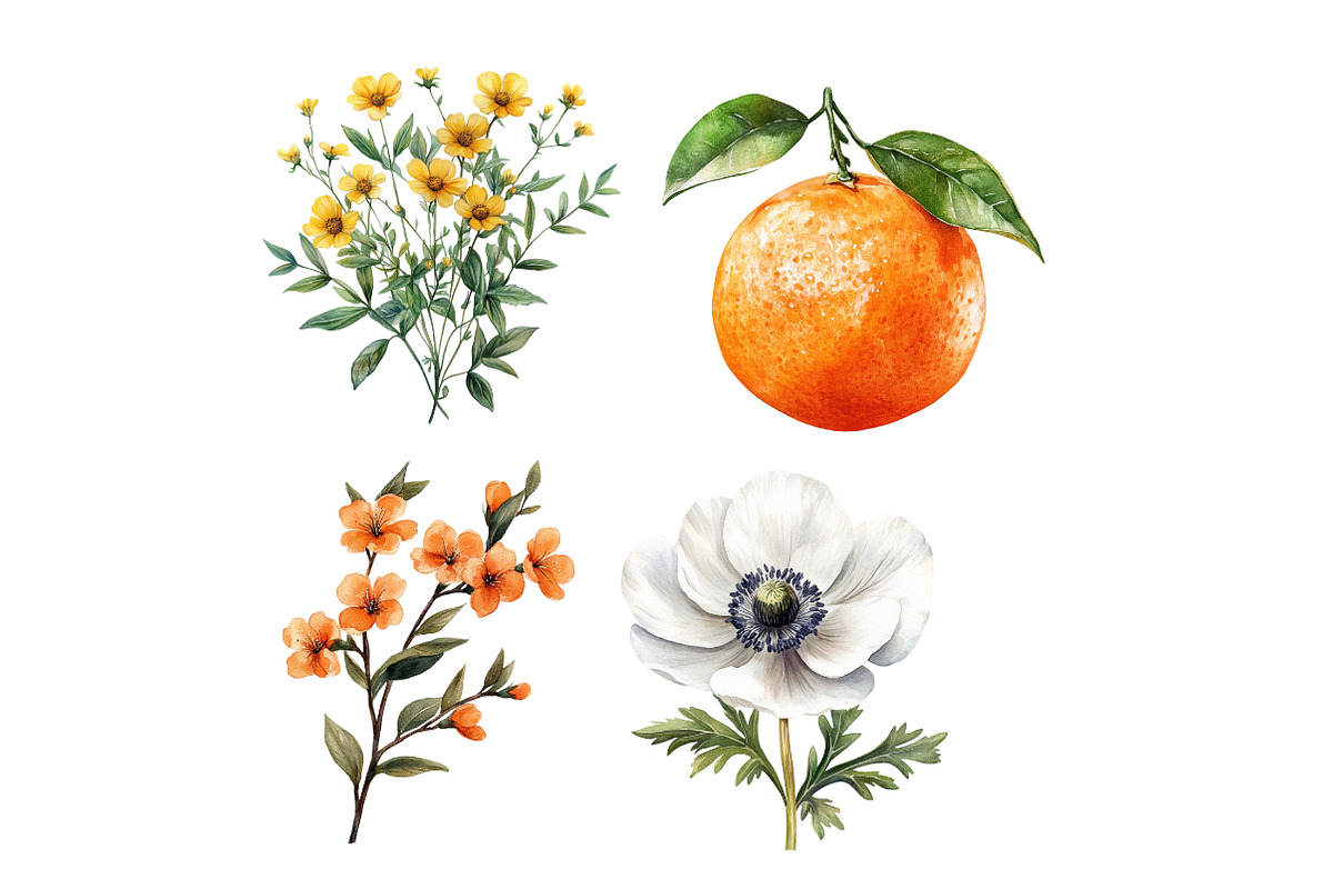 JUICY FLORAL, Watercolor clipart, an Illustration by Designworld (Photo 4 of 5)