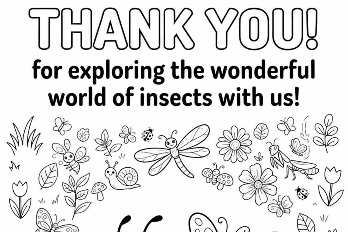 Insect Coloring Book for Kids, an Education Illustration by Mohammad Sarfaraz (Photo 13 of 13)