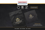Vivace Brand Logo, a Branding & Logo Template by BMACHINA Labs. (Thumbnail 2 of 5)