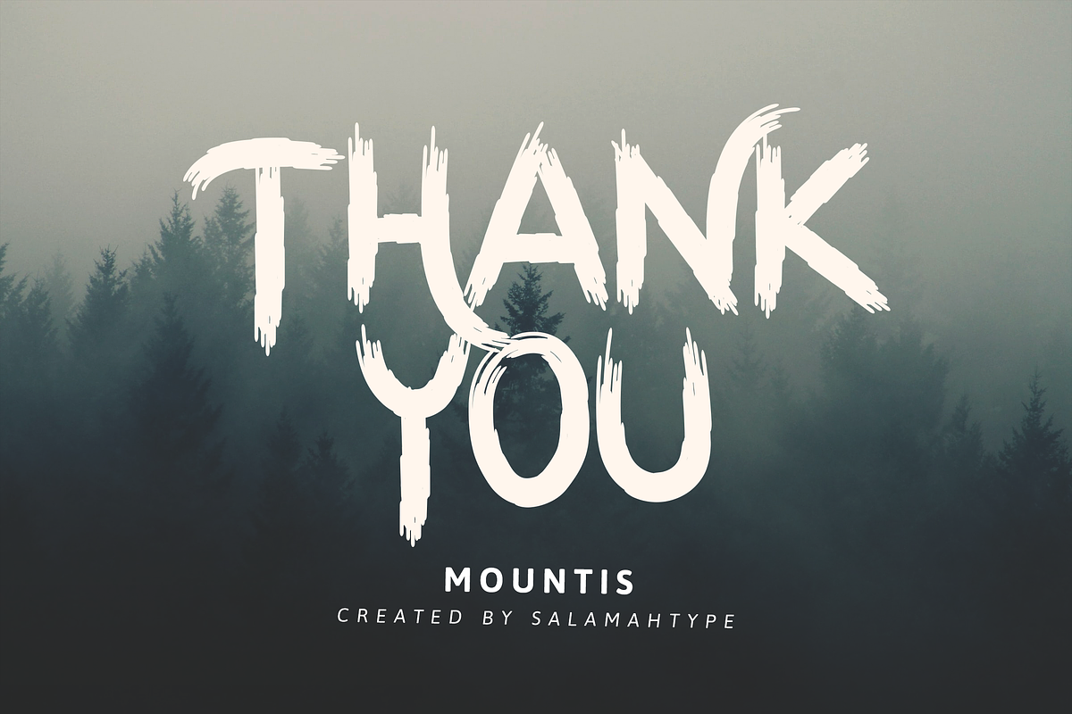 Mountis - Brush Font, a Font by Salamahtype (Photo 10 of 10)