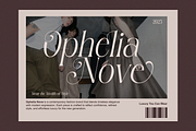 Shine Heels - Elegant Beauty Serif, a Serif Font by Qweera Studio (Thumbnail 5 of 12)