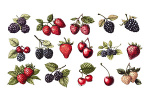Berries color ink sketch vector set, a Food Illustration by Valerie Bodnar