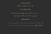 Roastland - Natural Brush Font, a Handwritten Font by Sibelumpagi Studio (Thumbnail 10 of 10)
