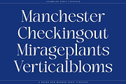 Champles A Modern Serif Typeface, a Serif Font by Comactype Foundry (Thumbnail 3 of 20)