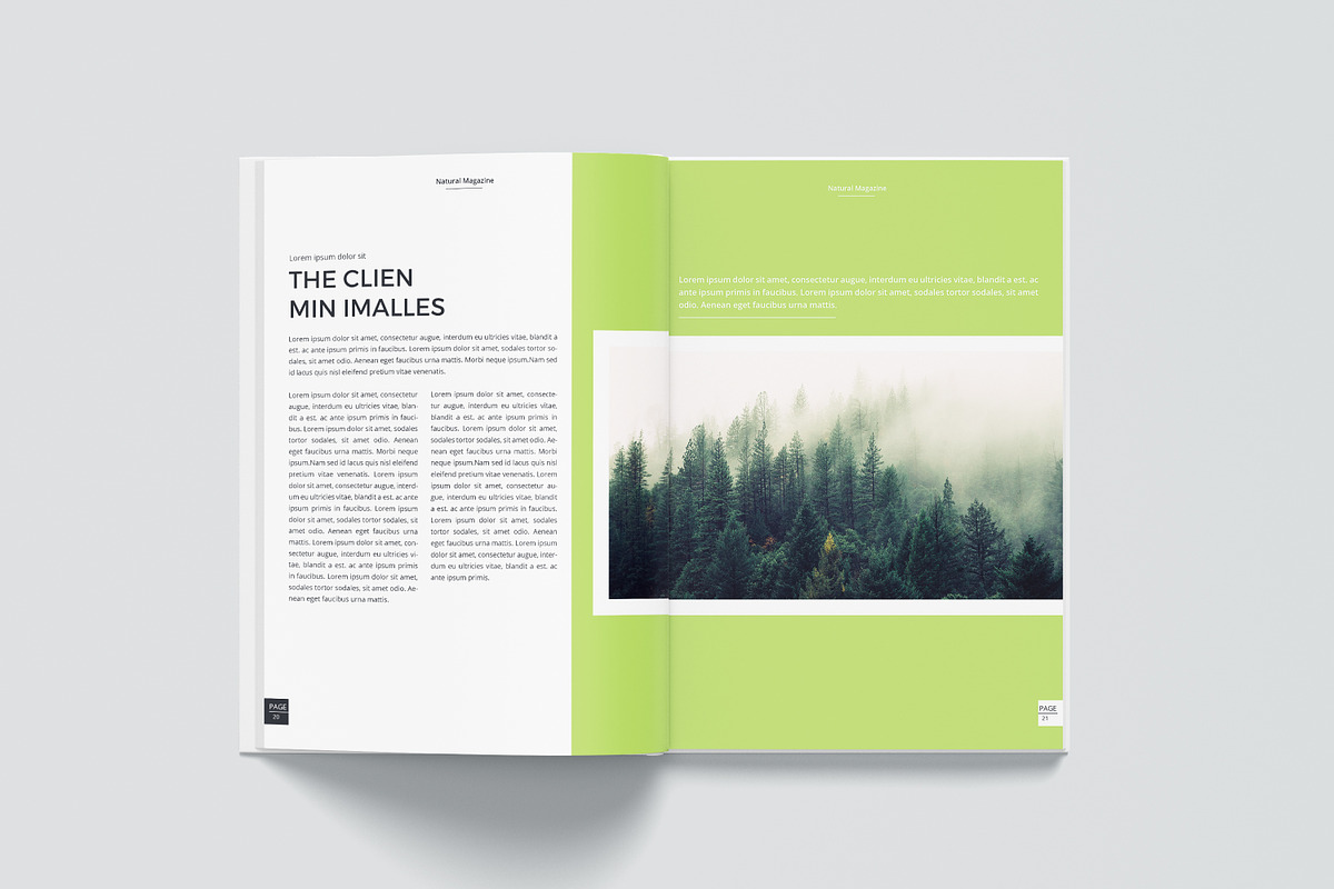 Magazine Layout Template, a Magazine Template by obidullah_01 (Photo 13 of 14)