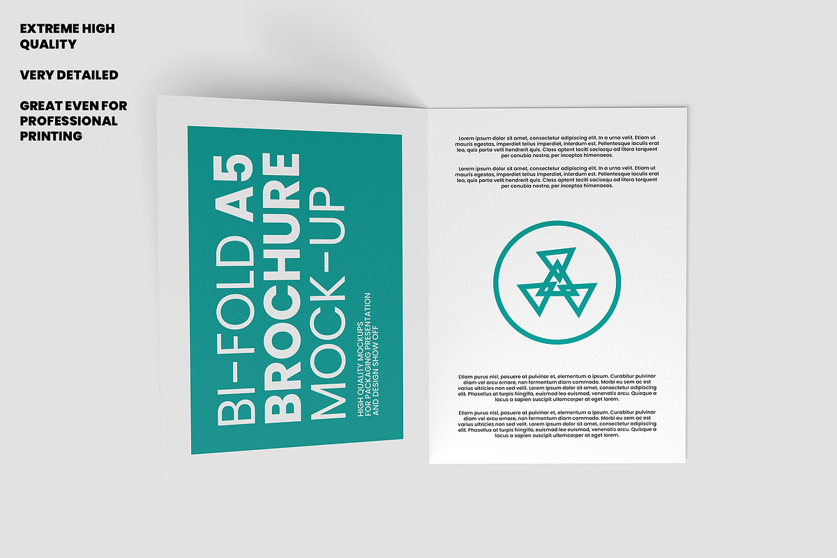 Bi-Fold A5 Brochure Mock-up, a Books & Magazine Mockup by Illusiongraphic (Photo 5 of 25)