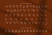 Jinglan Elegant Ligature Serif Font, a Serif Font by Elegant Font (Thumbnail 8 of 8)