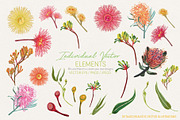 Australian Wild Flowers Collection, an Illustration by Sketchbook Designs (Thumbnail 6 of 10)